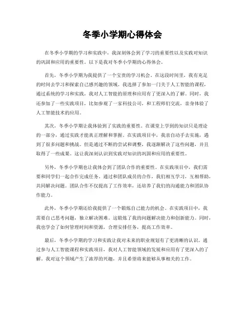 冬季小学期心得体会