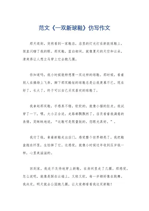 范文《一双新球鞋》仿写作文