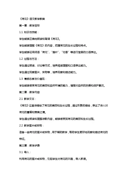 《荷花》语文教学教案