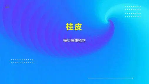 桂皮    