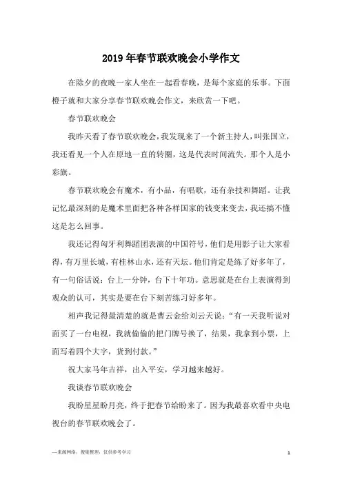 2019年春节联欢晚会小学作文