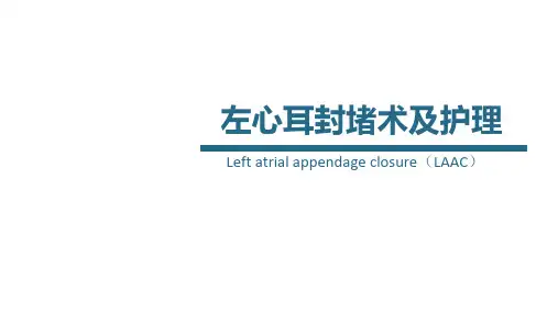 左心耳封堵术及护理1