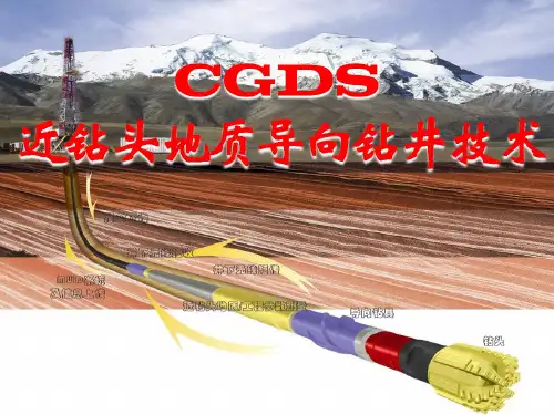 CGDS近钻头地质导向钻井技术