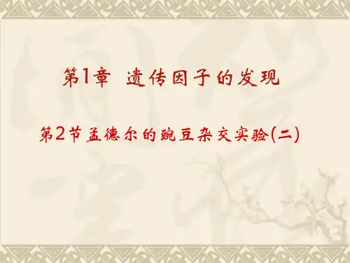 生物：1.2《孟德尔的豌豆杂交实验(二)》课件(新人教版必修2)