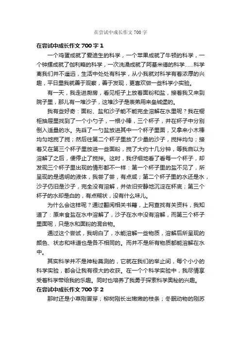 在尝试中成长作文700字
