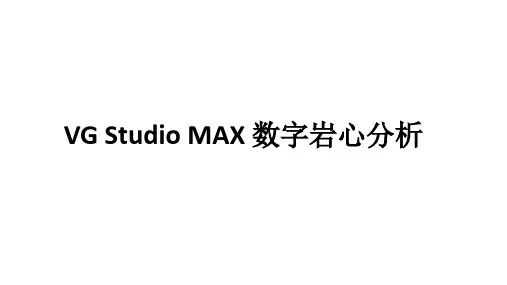 VG Studio MAX 数字岩心分析应用