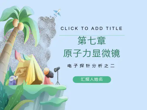 原子力显微镜