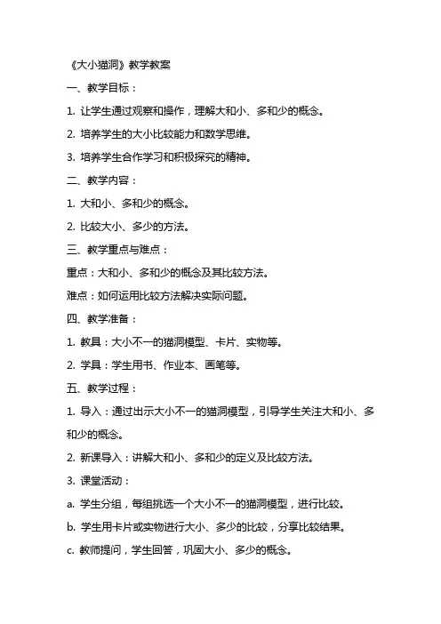 《大小猫洞》教学教案