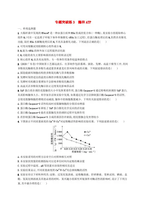 新高考新教材2024届高考生物二轮总复习专题突破练3酶和ATP