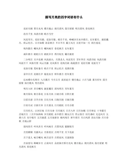 描写月亮的四字词语有什么