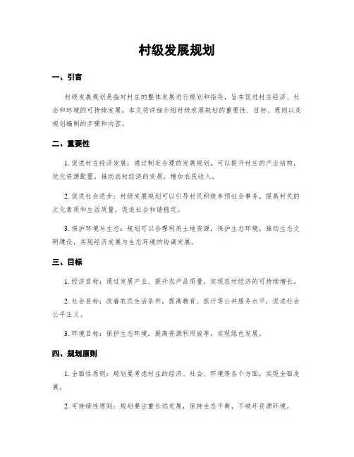 村级发展规划