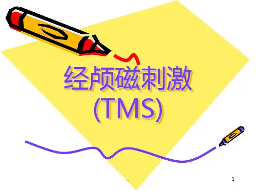 经颅磁刺激技术介绍PPT课件