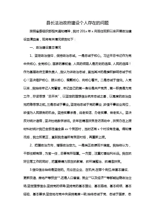 县长法治政府建设个人存在的问题