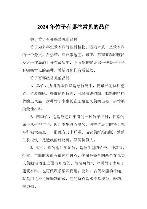2024年竹子有哪些常见的品种