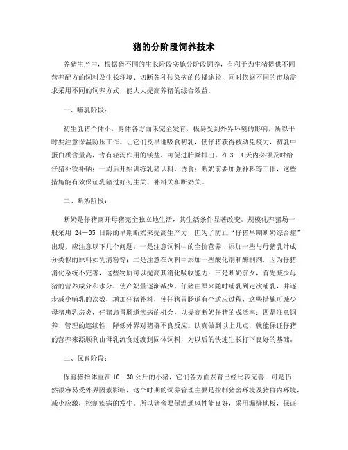 猪的分阶段饲养技术