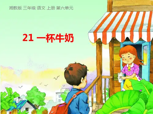 一杯牛奶  课件