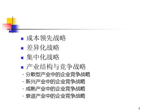 经营单位竞争战略选择PPT课件