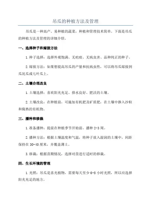 吊瓜的种植方法及管理