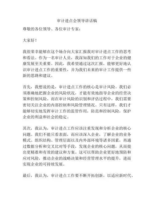 审计进点会领导讲话稿