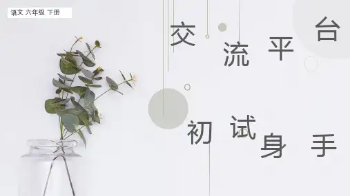 交流平台与初试身手统编语文六年级下册PPT课件