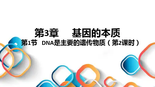 3.1 DNA是主要遗传物质(第2课时)(课件)高一生物下学期课件(2019人教版必修2)