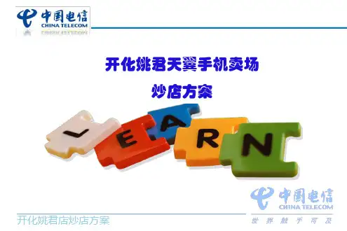 电信炒店方案PPT课件