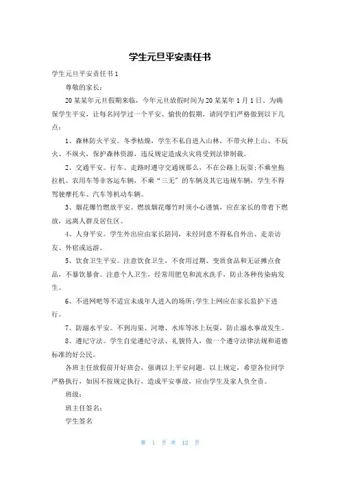 学生元旦安全责任书