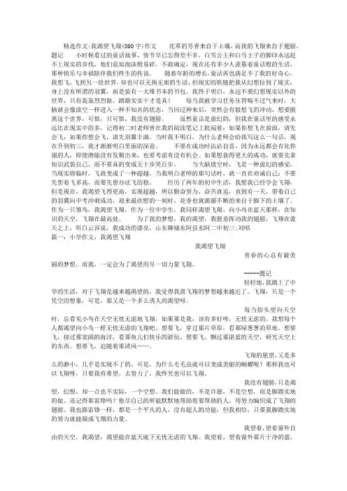 我渴望飞翔(800字)作文