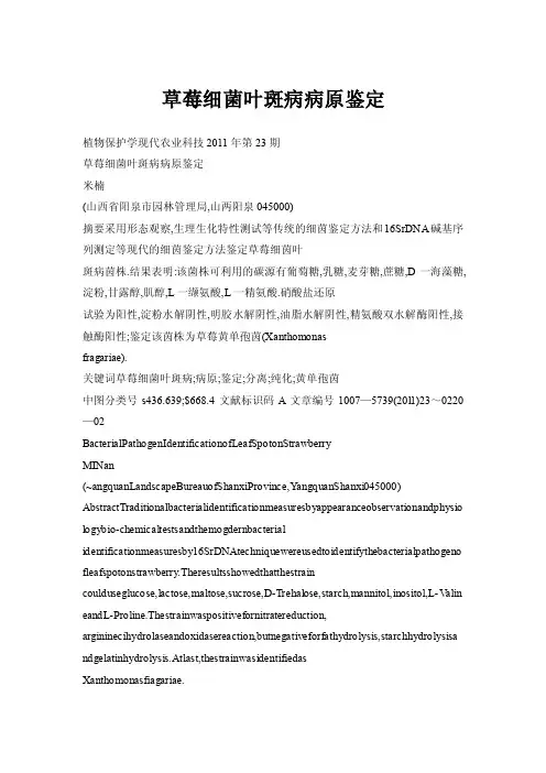 草莓细菌叶斑病病原鉴定