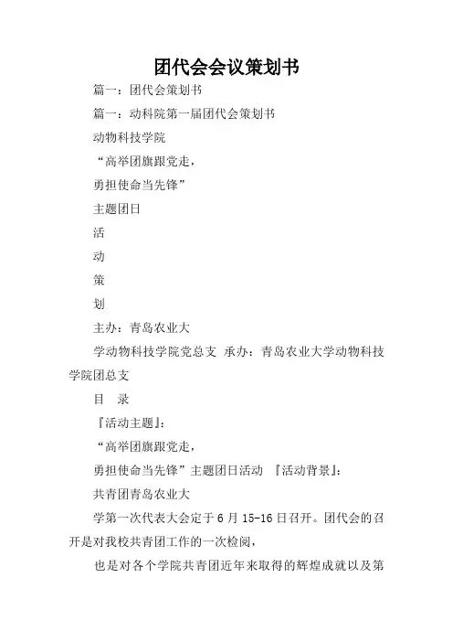 团代会会议策划书