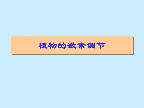 植物的激素调节PPT