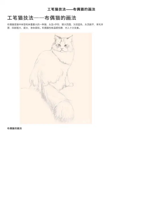 工笔猫技法——布偶猫的画法