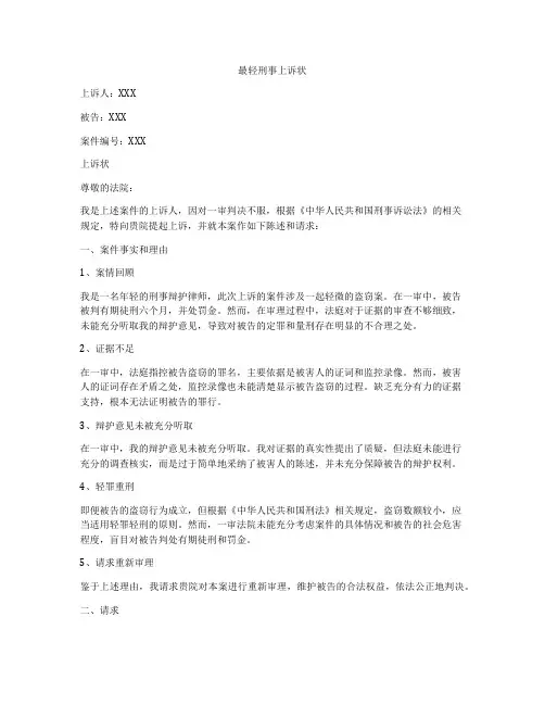 最轻刑事上诉状