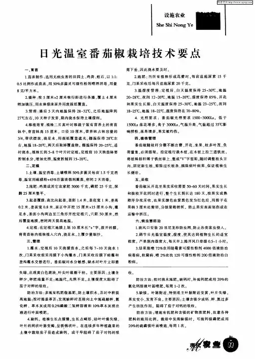 日光温室番茄椒栽培技术要点