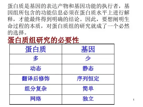 蛋白质组学ppt