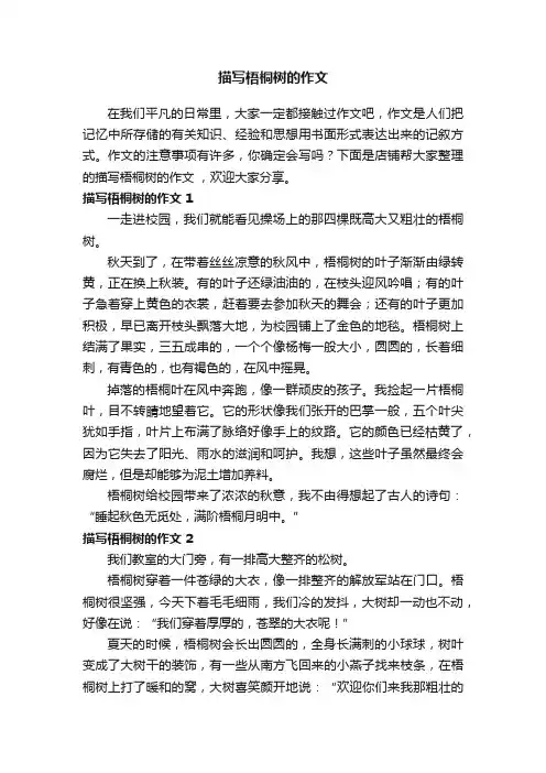 描写梧桐树的作文