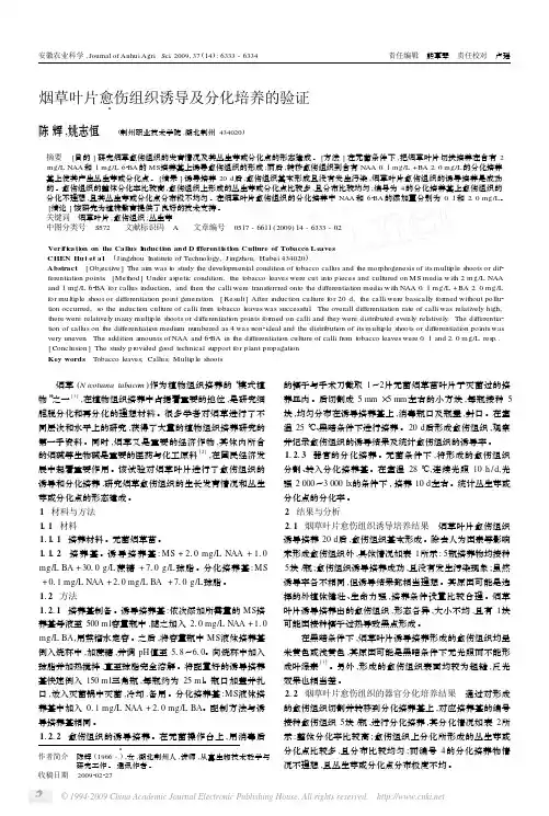 烟草叶片愈伤组织诱导及分化培养的验证