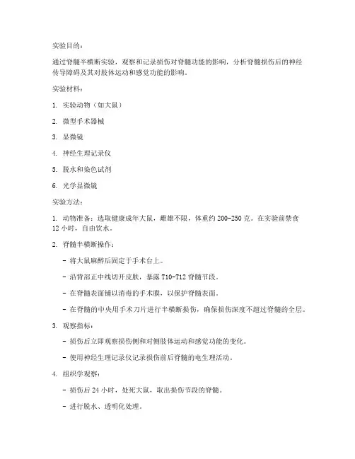 脊髓半横断实验报告