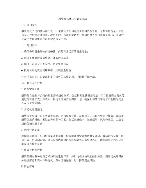 融资部具体工作计划范文