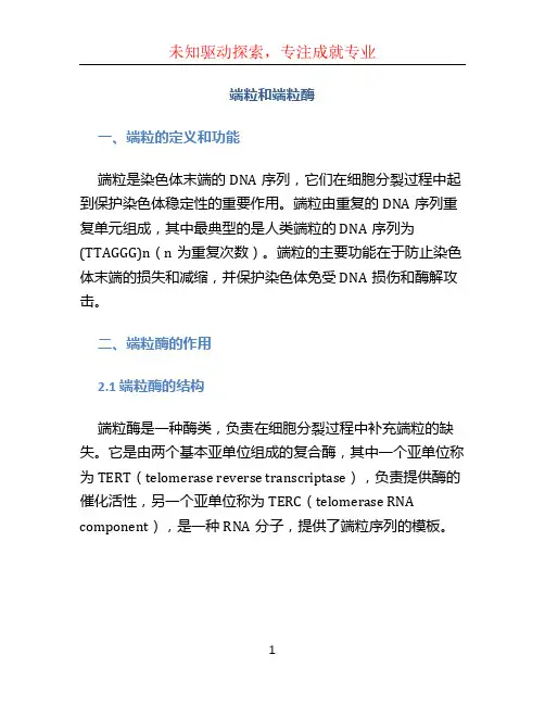 端粒和端粒酶