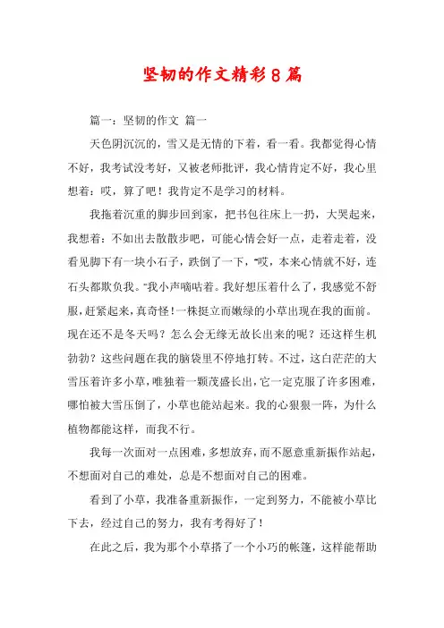 坚韧的作文精彩8篇