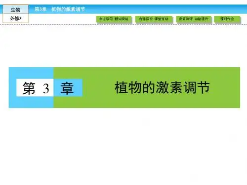 人教版生物必修三：3.1《植物的激素调节》ppt课件