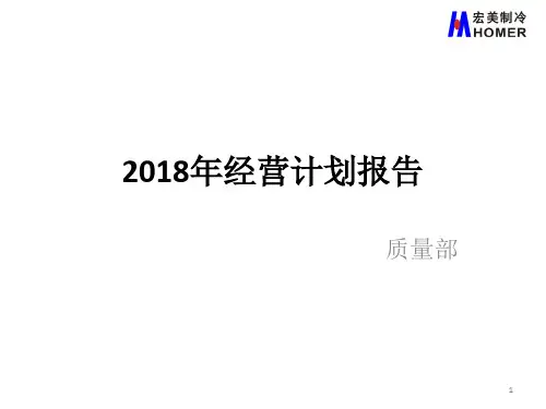 某公司经营计划报告(PPT30页)