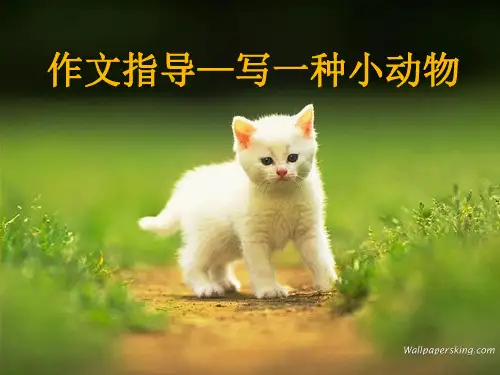 作文指导——写一种小动物01358精品PPT课件