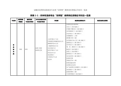 安徽省高等职业院校各专业类“双师型”教师岗位资格证书对应一览表汇编