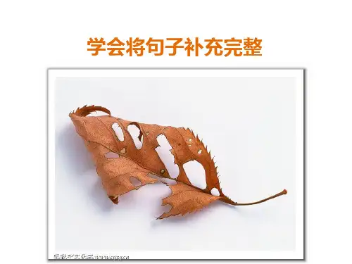 小学一年级语文学会将句子补充完整