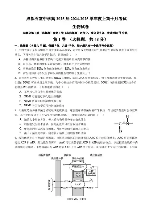 四川省成都市石室中学2024-2025学年高三上学期10月月考生物试题含答案