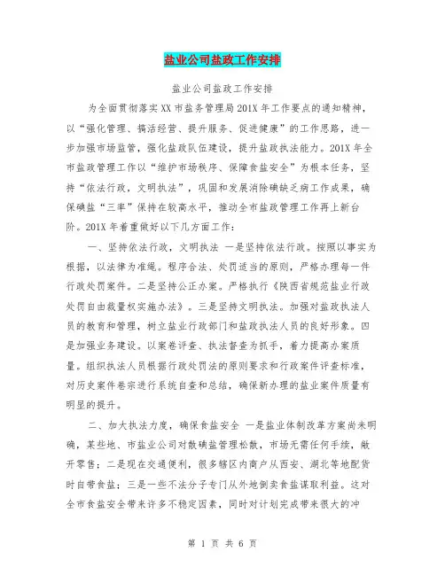 盐业公司盐政工作安排【可编辑版】