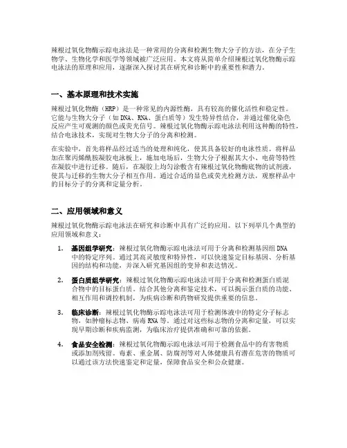 辣根过氧化物酶示踪电泳法