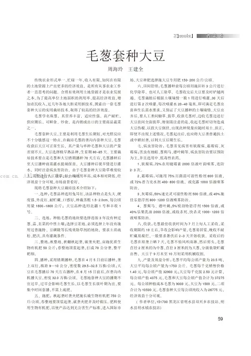 毛葱套种大豆